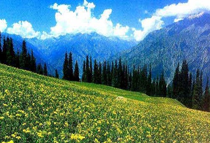 Kashmir Pahalgam Tour