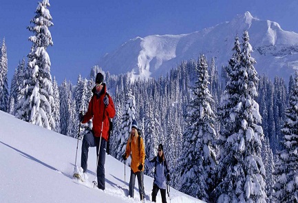 Srinagar Tour Package